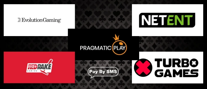 Pay by SMS Software Pay by SMS Software